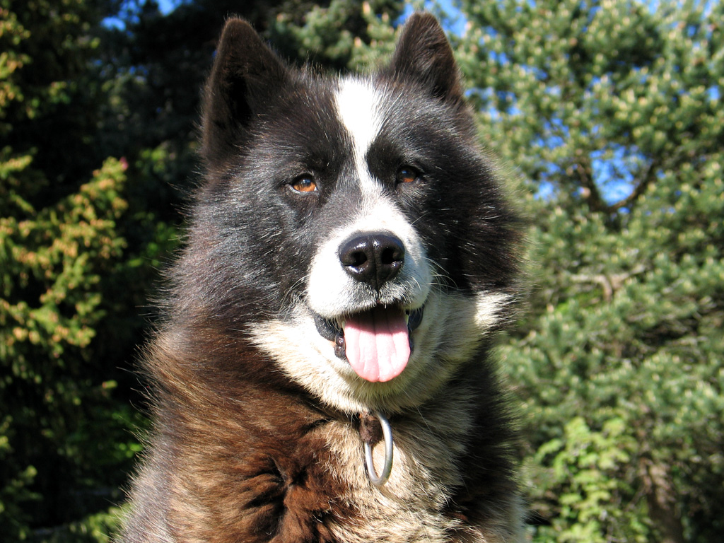 Gérald-Erik Lavallée