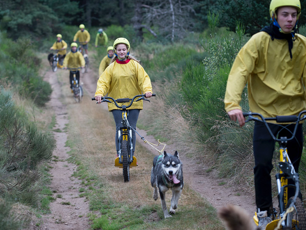 Groupe en cani-trottinette